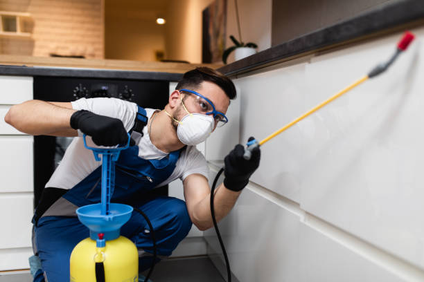 Best Flea Control Services  in Merrifield, VA