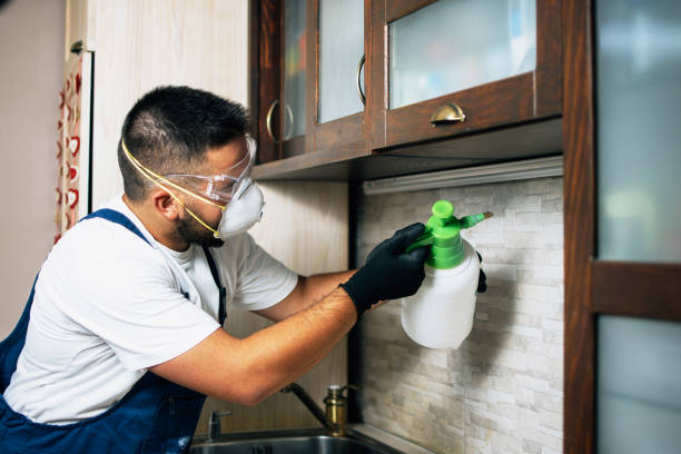 Best Exterminator Services  in Merrifield, VA
