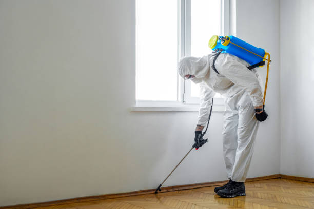 Best Termite Control Services  in Merrifield, VA