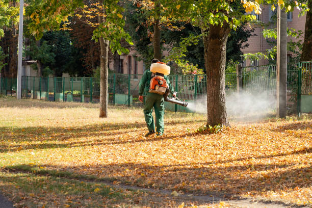 Best Pest Control Near Me  in Merrifield, VA