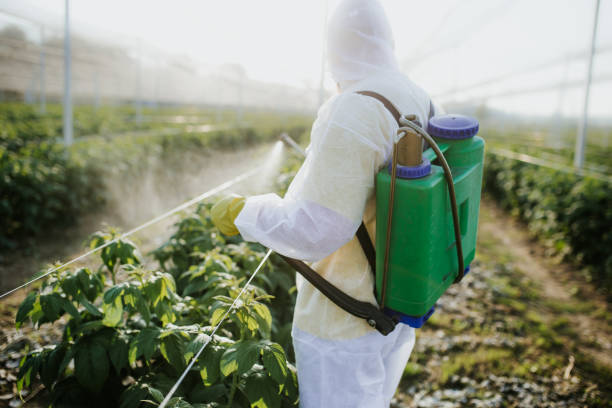 Best Bed Bug Extermination  in Merrifield, VA